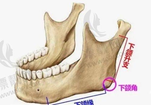 深圳港龙医院的消费情况如何?