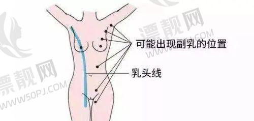 顾客评价