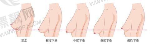专精团队与规范诊疗体系