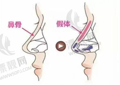 总结与建议