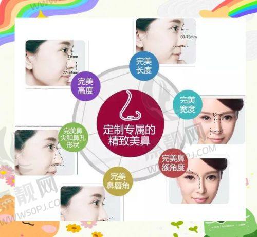 真实实例解析:发友们的蜕变故事