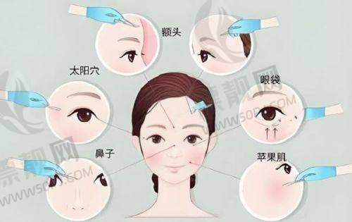 区域影响力显著