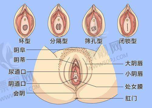 5. 乌鲁木齐王共礼医疗美容门诊部