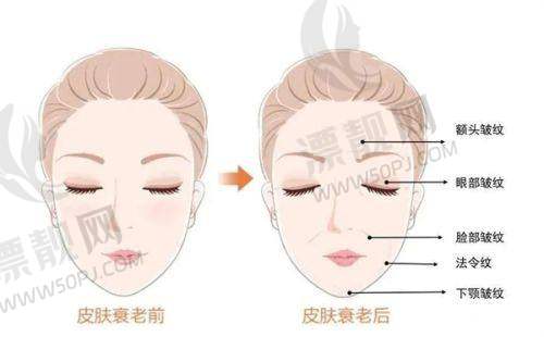 制造商官网查询法