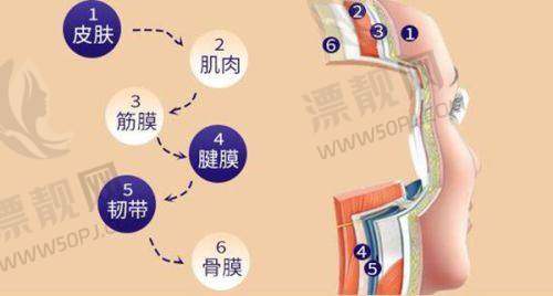 2025北京十大整形医院排名榜曝光！整形外科、圣嘉新、美莱实力揭秘与避坑指南