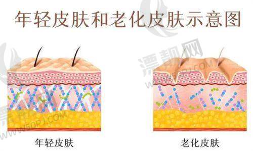医美项目价格与优势分析