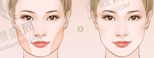 鼻修复手术中的建筑美学