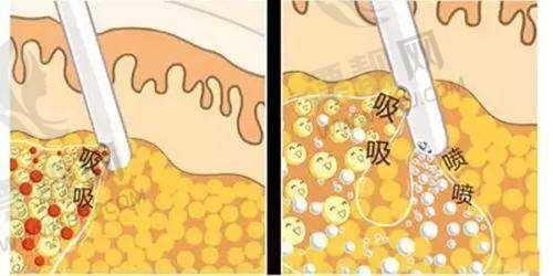 宝子们，行动起来吧！