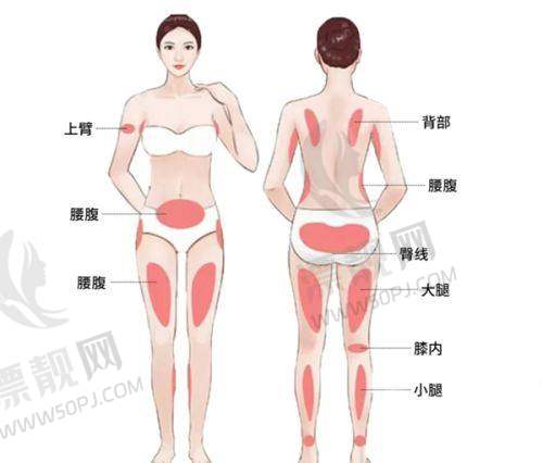 眼部整形项目