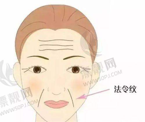 四、特色修复骨干医生