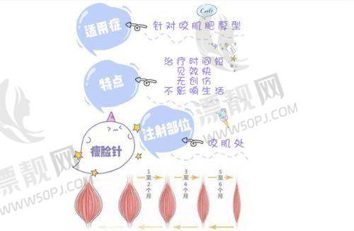 章光101的实际使用成效分析