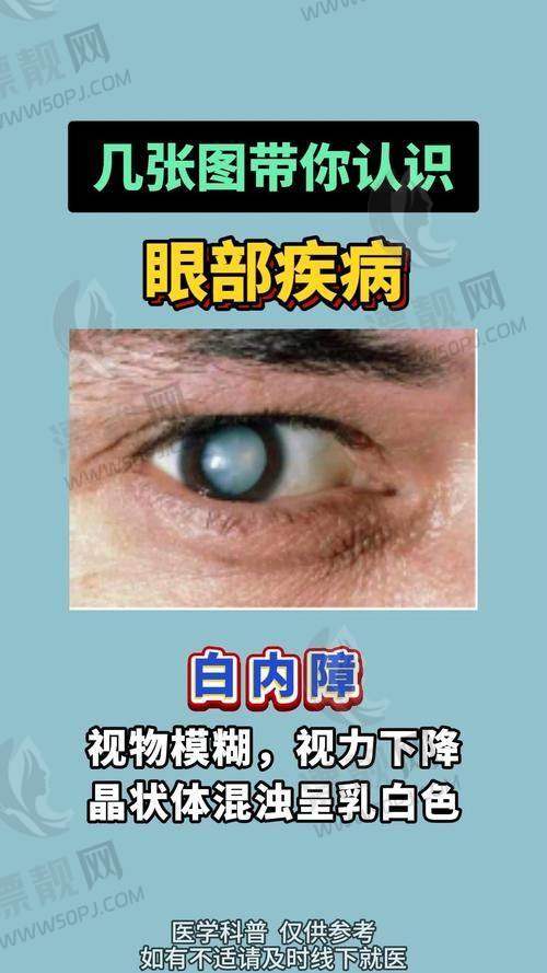 值得信赖的，不止是价格和医生，还有服务逻辑