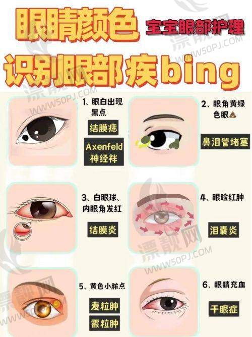逛过的人都说香——茗视光的实际体验值