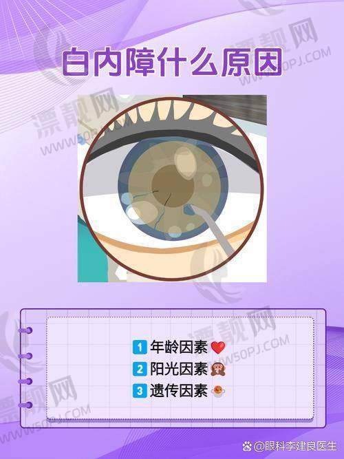 从预约流程到术后回访：两家的患者获得感分析