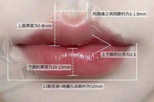 假体隆胸价格参考
