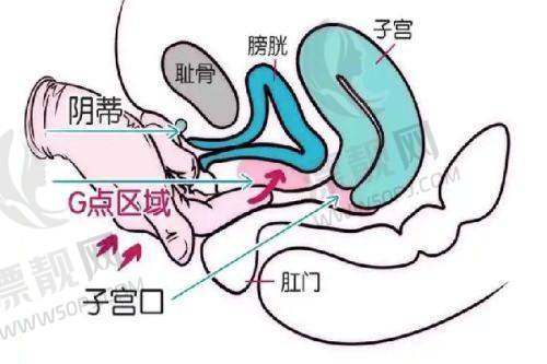 白盒丽珠兰——眼部护理救星