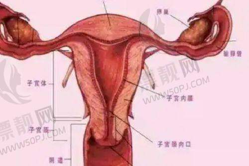 武汉抽脂成效好的医院排名前十有哪些？武汉艺星、仁爱时光、武汉美莱领衔优质之选！