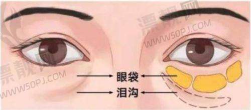 北京刘彦军医生怎么预约挂号？三种方式+口碑资料全解析