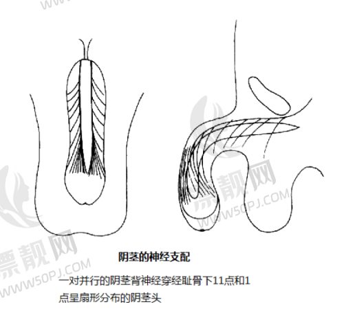 生长因子填充面部的适用人群