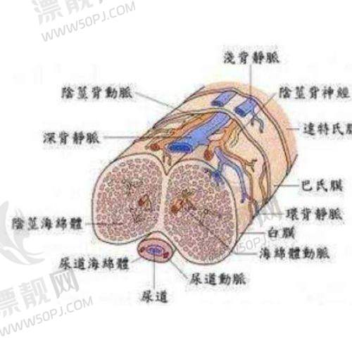 四、如何获取门诊部的联系方式