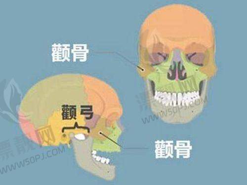 具有影响力医生推荐榜