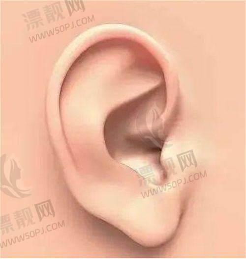 付毅医生隆鼻项目价格参考