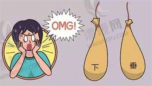 专精级产品价格差异分析
