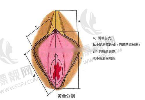 为什么选择河南省职工医院整形外科?