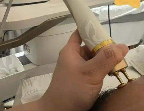运营主体情况