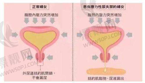 服务特色:个性化之美,贴心呵护