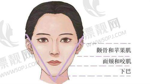 广州排名前十公立医院名单揭晓！中山大学附属一院、南方医科大学南方医院、广东省人民医院领跑医美！