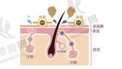 关于术后修复的那些事
