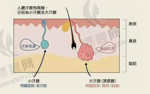 桂林时光整形美容医院特色服务项目介绍