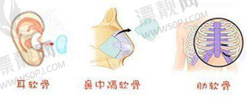 8. 韩国如妍妇科医院 - 女性私密整形守护者