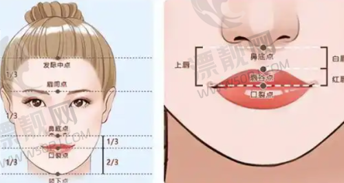 生物补片在医美手术中的应用