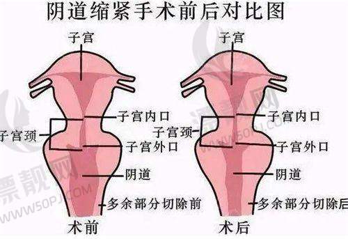 贴心服务:让变得更美之旅更舒心