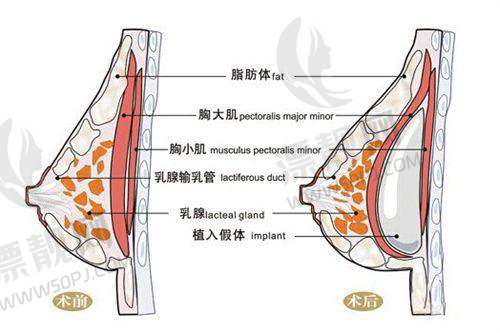 选择眼部修复医生的建议