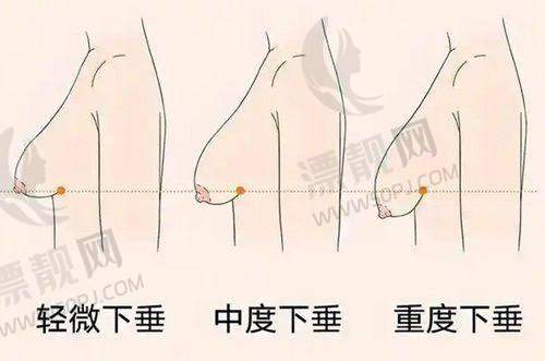 哈尔滨瑞丽整形医院医生资质查询方式