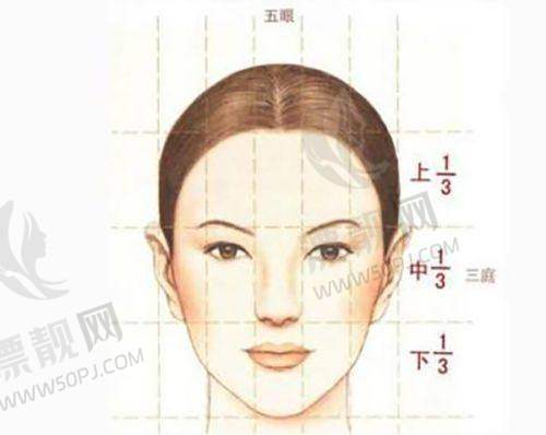 个体差异:吸收速度因人而异