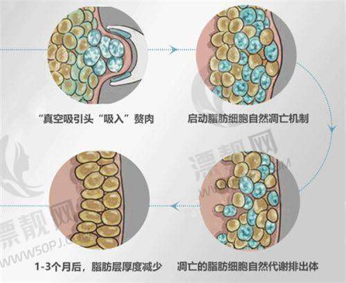 昆明第一人民医院星耀医院整形科的医生团队
