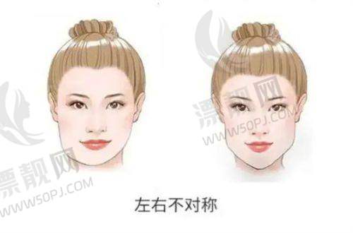 不同需求下的品牌选择建议