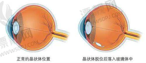 8. 阳泉爱思特医疗美容