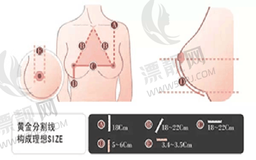 南京皮研所医美价目表最新查询，涵盖美容项目及整形外科收费标准大揭秘！
