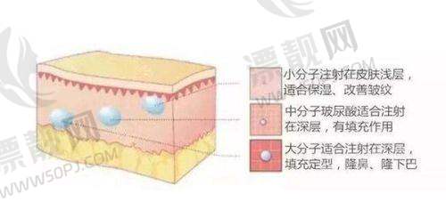 法规遵循:合法合规展风采