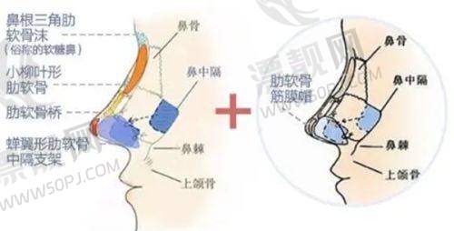 价格说明及注意事项