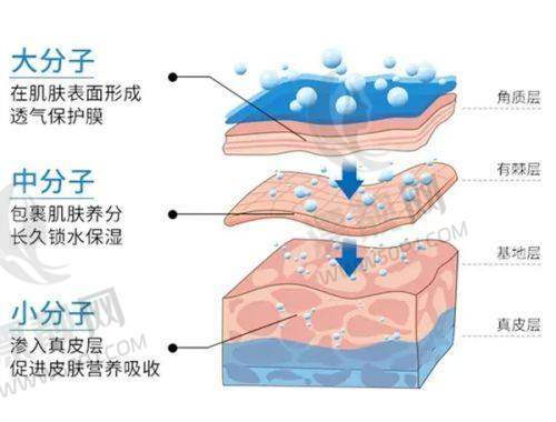 五、用户评价参考渠道