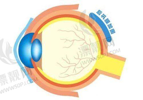 怎么去城关区的兰州普瑞眼科医院(白银路院区)?公交+地铁+自驾全路线解析