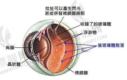 河源光明眼科医院官网挂号方法详解