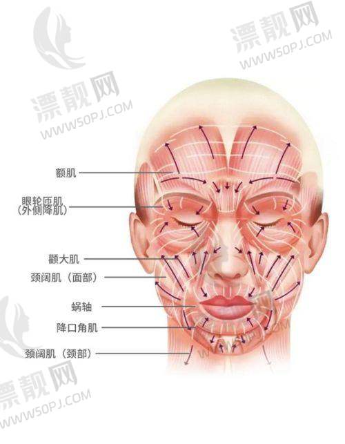 2. 北京联合丽格第一医疗美容医院