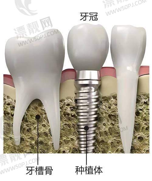 长春中诺口腔医院地址定位来袭，公交地铁全知晓，附各科室预约方式与收费标准！